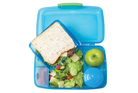 The 16 Best Lunch Boxes for Every Budget 